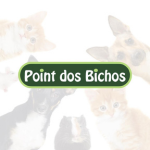 Point dos Bichos