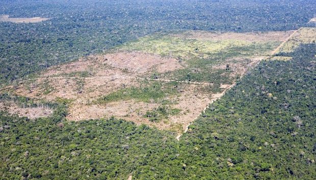  Avaliação: na área ambiental, o Brasil pecou e pode piorar