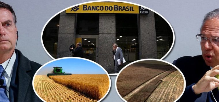  Bolsonaro trai ruralistas e reduz crédito agrícola
