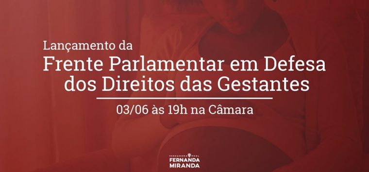  Lançamento da Frente Parlamentar em defesa dos direitos das Gestantes