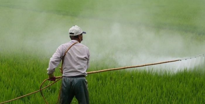  Bolsonaro libera mais 118 agrotóxicos enquanto país vive tragédia histórica