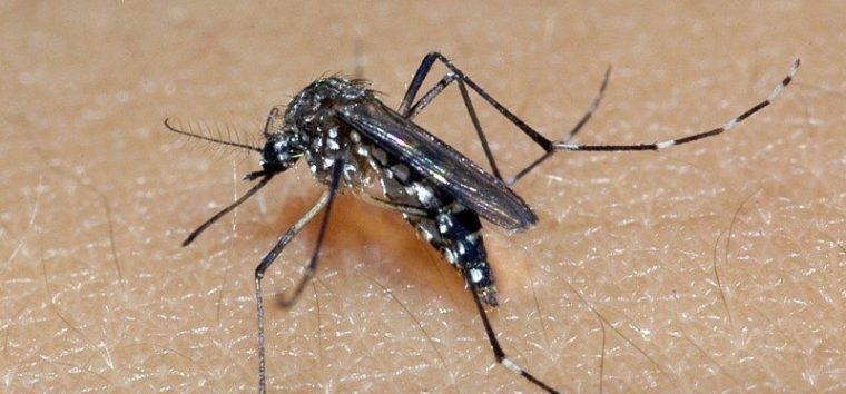  Secretaria da Saúde emite alerta epidemiológico para situação crítica de dengue no RS