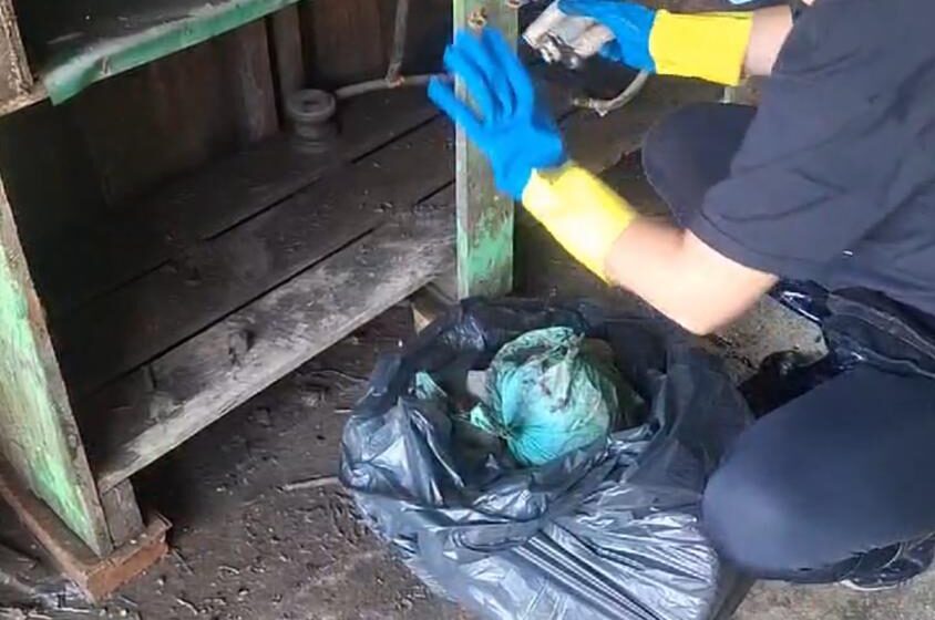  Brigada de limpeza do Solidariedade Pelotas reúne 17 voluntários e voluntárias na Colônia Z3