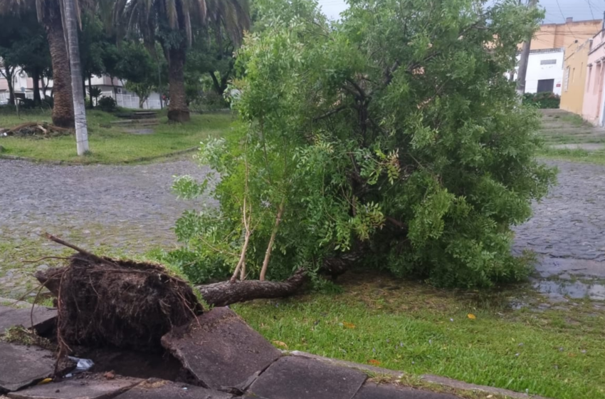  Ciclone Biguá provoca transtornos e deixa 230 mil sem luz no RS
