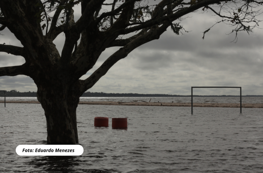  Pelotas prepara 2ª Conferência Municipal do Meio Ambiente